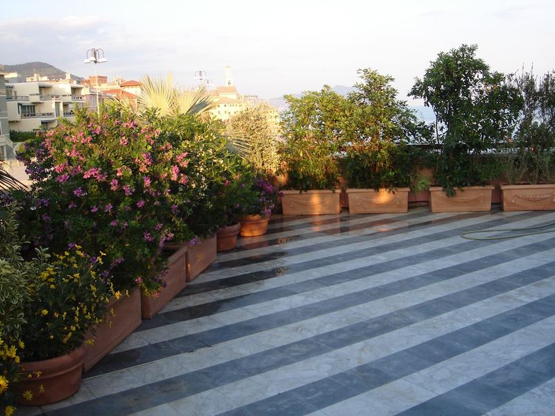Terrazzo a Genova con azalea, palma nana e arancio amaro in vaso — realizzazione Peirano Vivai