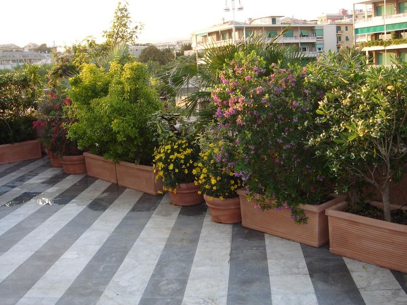 Terrazza aziendale con fioriere verdi sopra la città