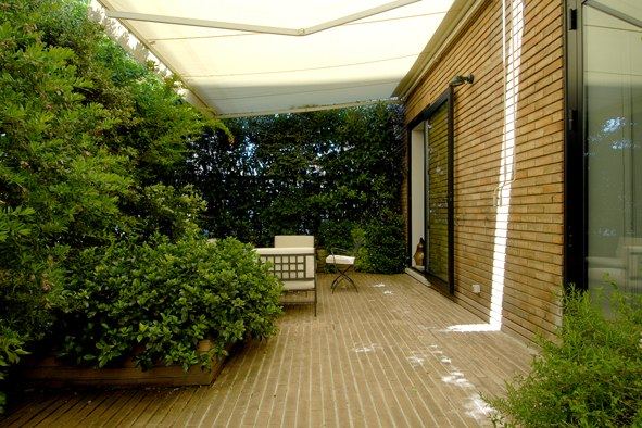 Terrazzo a Genova con buxus, ligustro e ficus in vaso — realizzazione Peirano Vivai
