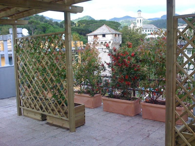 Terrazzo a Genova con abelia, ligustro e melaleuca in vaso — realizzazione Peirano Vivai