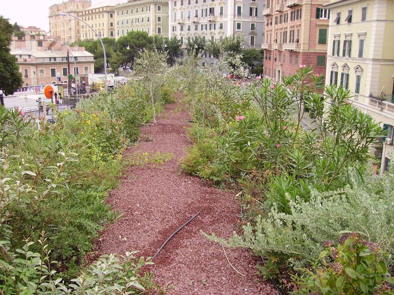 Giardino pensile mediterraneo realizzato a Genova