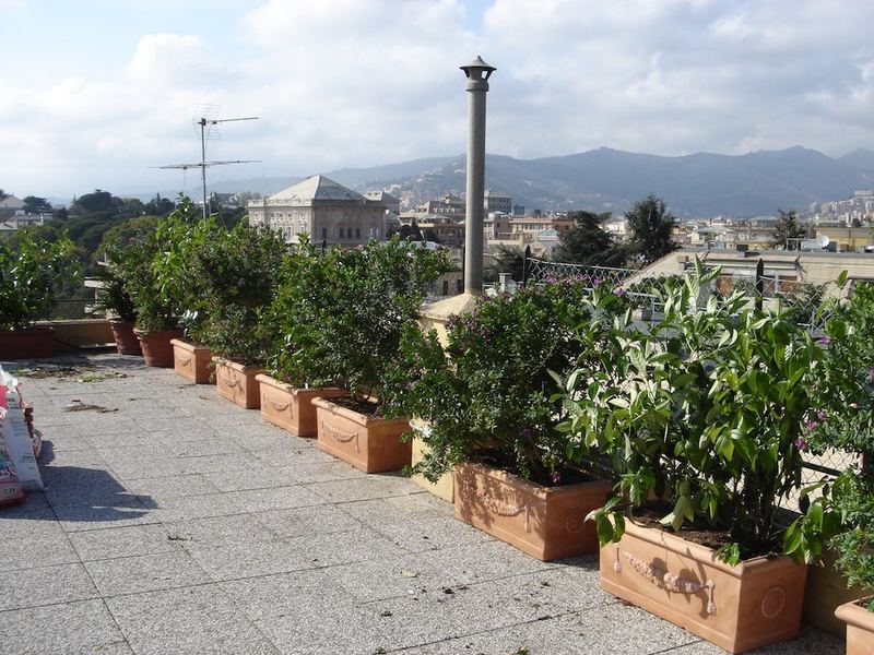 Terrazzi a Genova: idee e realizzazioni