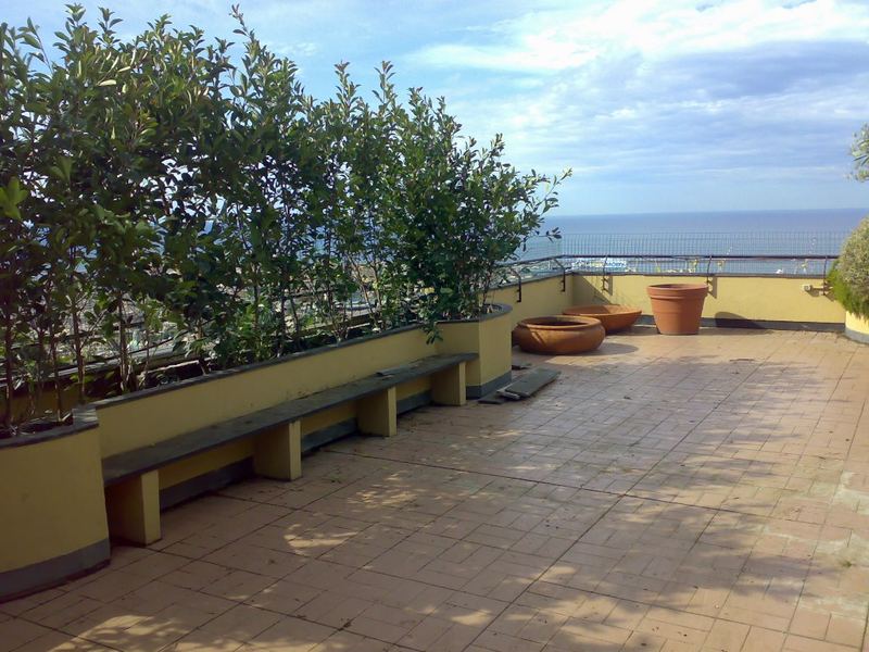 Terrazzo a Genova con alloro in vaso, vista mare — realizzazione Peirano Vivai