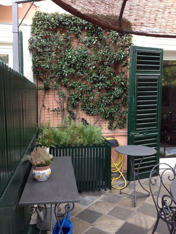 Terrazzo a Genova con alloro, rosmarino e lavanda in vaso — realizzazione Peirano Vivai
