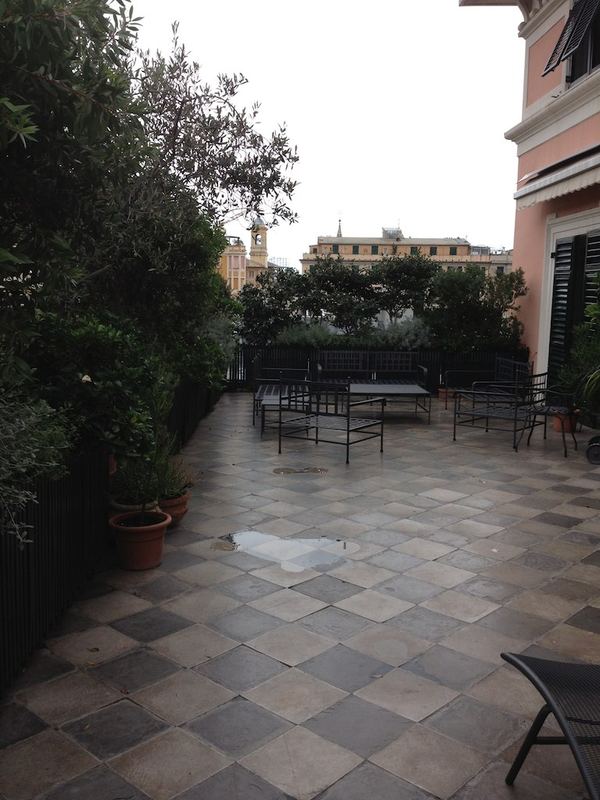 Terrazzo a Genova con olivo, alloro e melo d'adamo in vaso — realizzazione Peirano Vivai