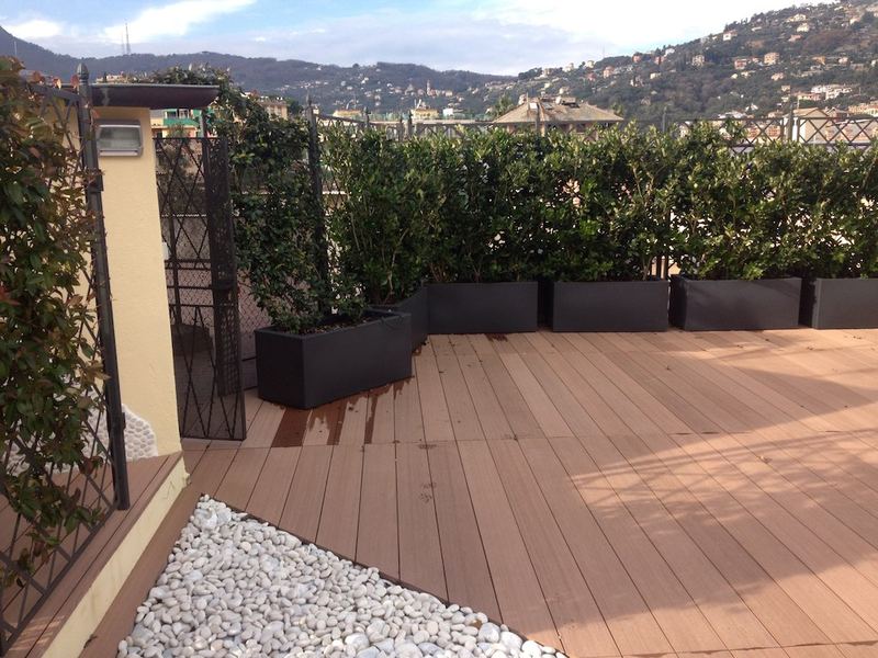 Terrazzo a Genova con edera e euonymus in vaso — realizzazione Peirano Vivai