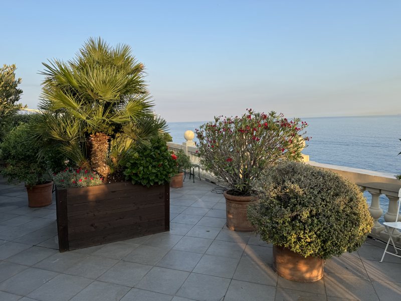 Terrazzo a Genova arredato a verde — realizzazione Peirano Vivai