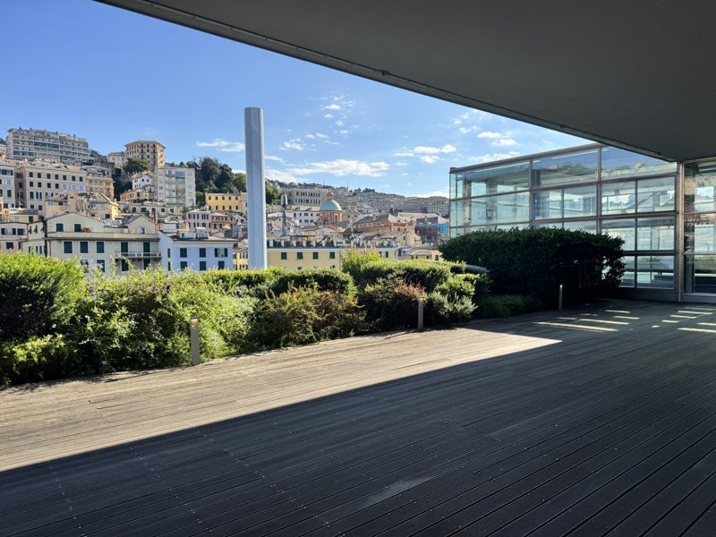 Terrazzo a Genova arredato a verde — realizzazione Peirano Vivai